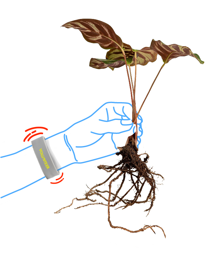 Budgeting for Donations Illustrations_4